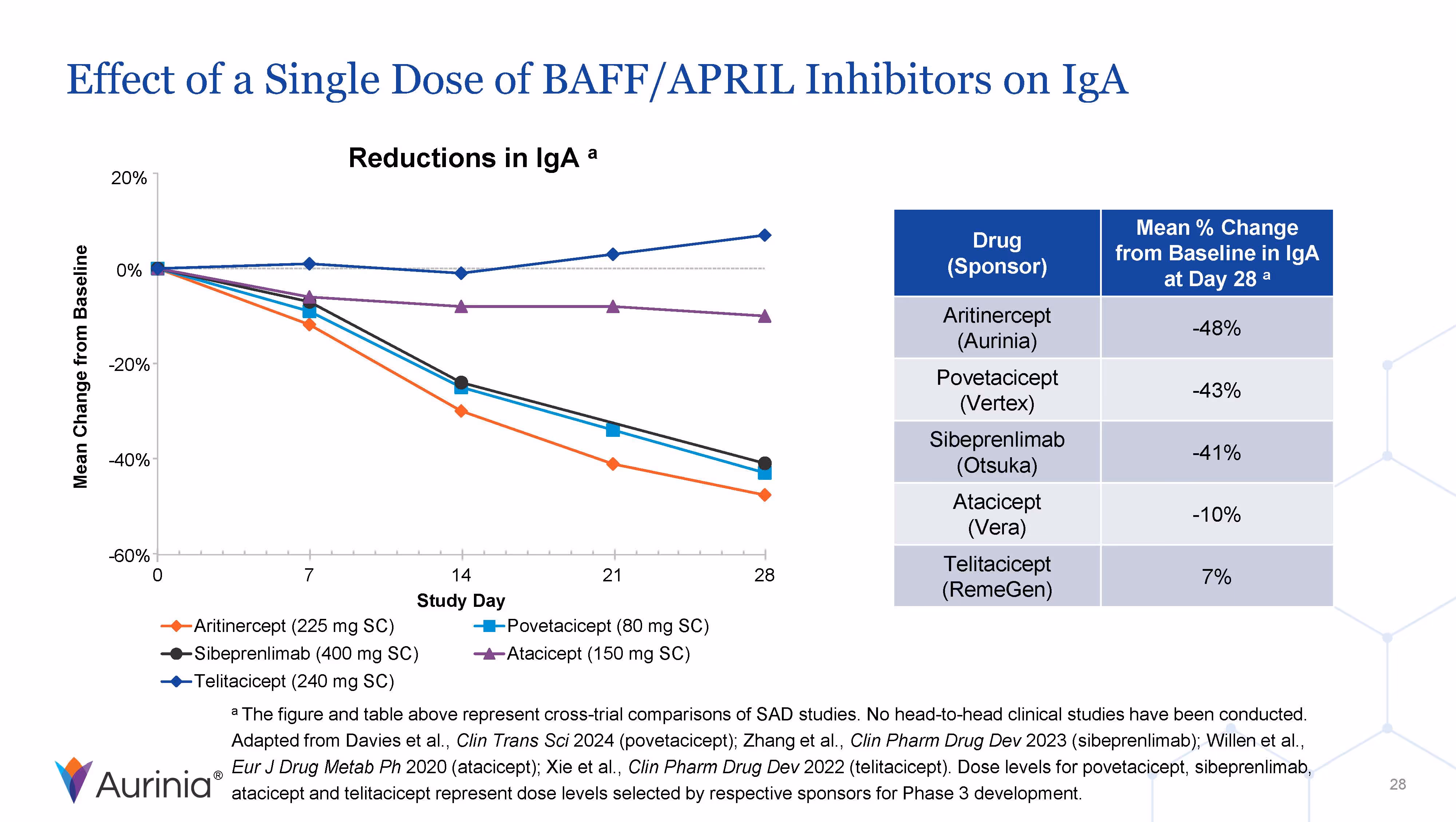 Effect of a Single Dose of BAFF/APRIL Inhibitors on IgA