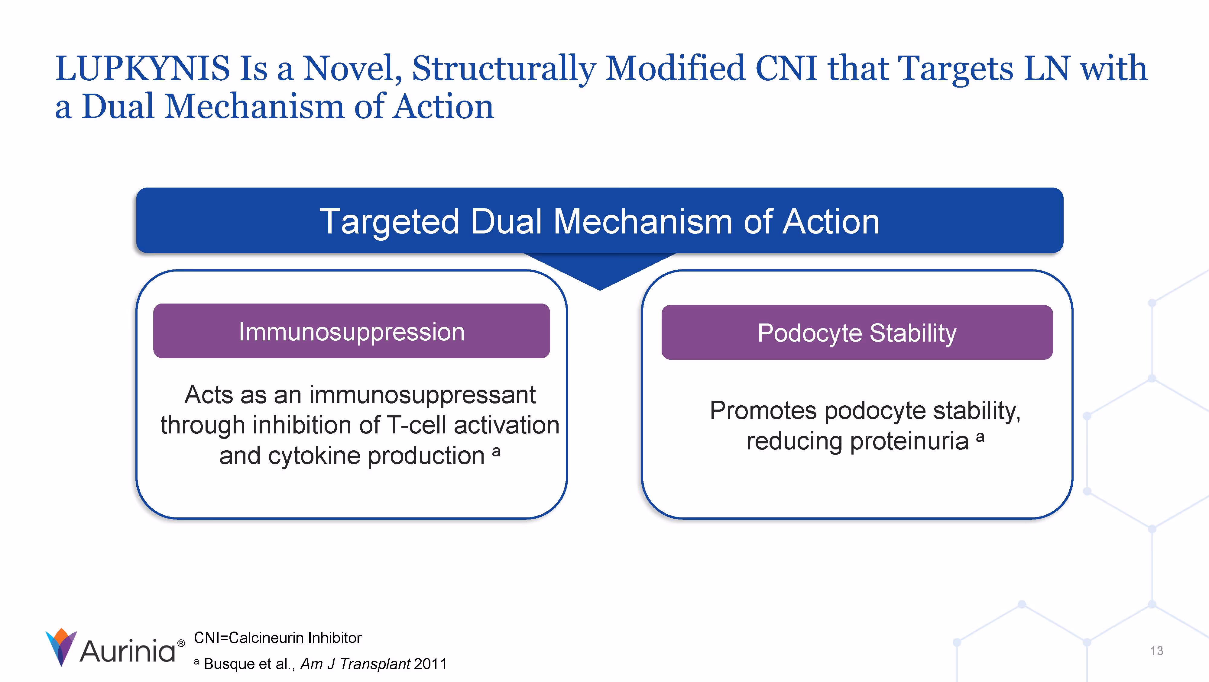 LUPKYNIS Is a Novel, Structurally Modified CNI that Targets LN with a Dual Mechanism of Action