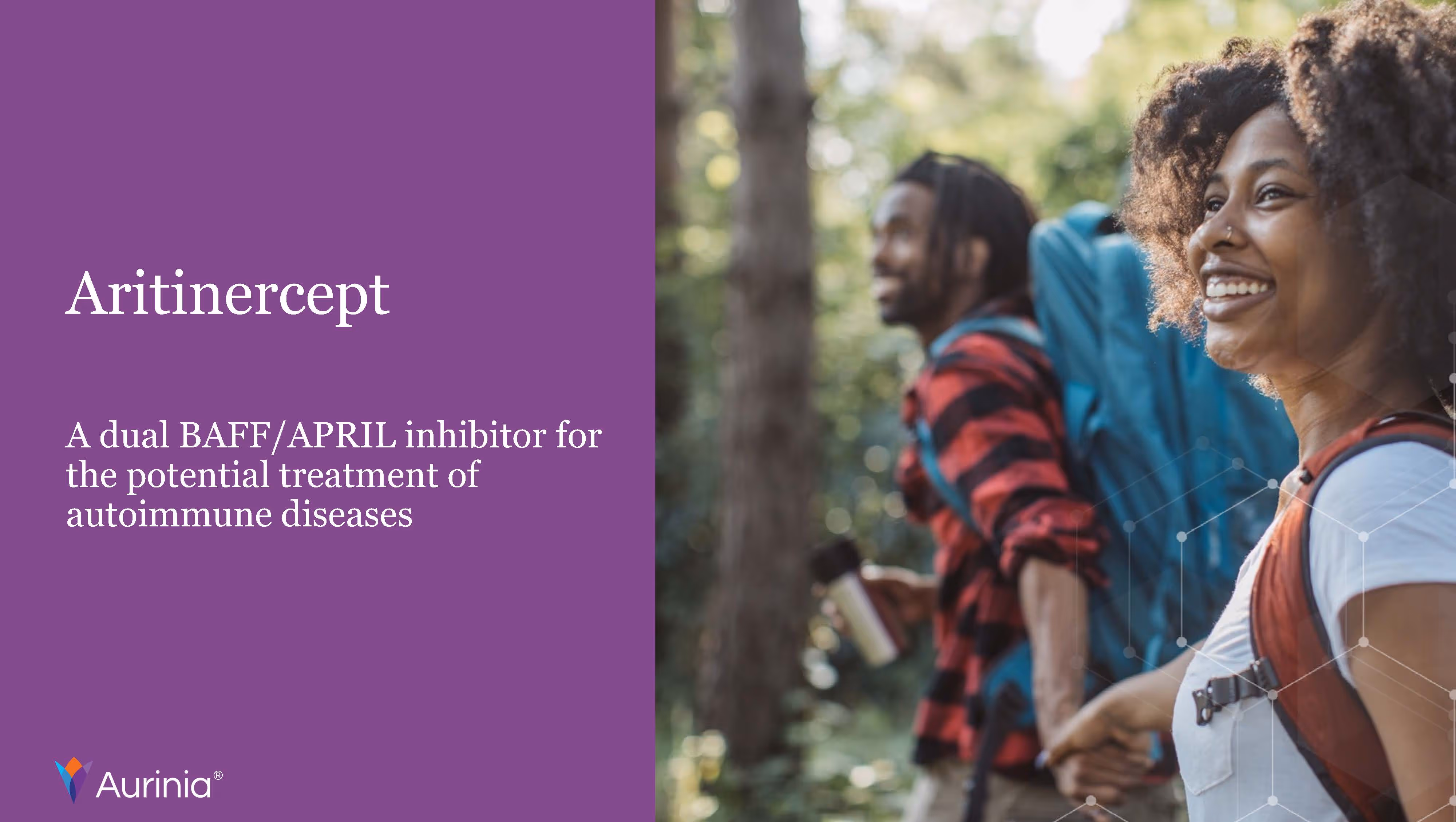 Aritinercept – A dual BAFF/APRIL inhibitor for the potential treatment of autoimmune diseases