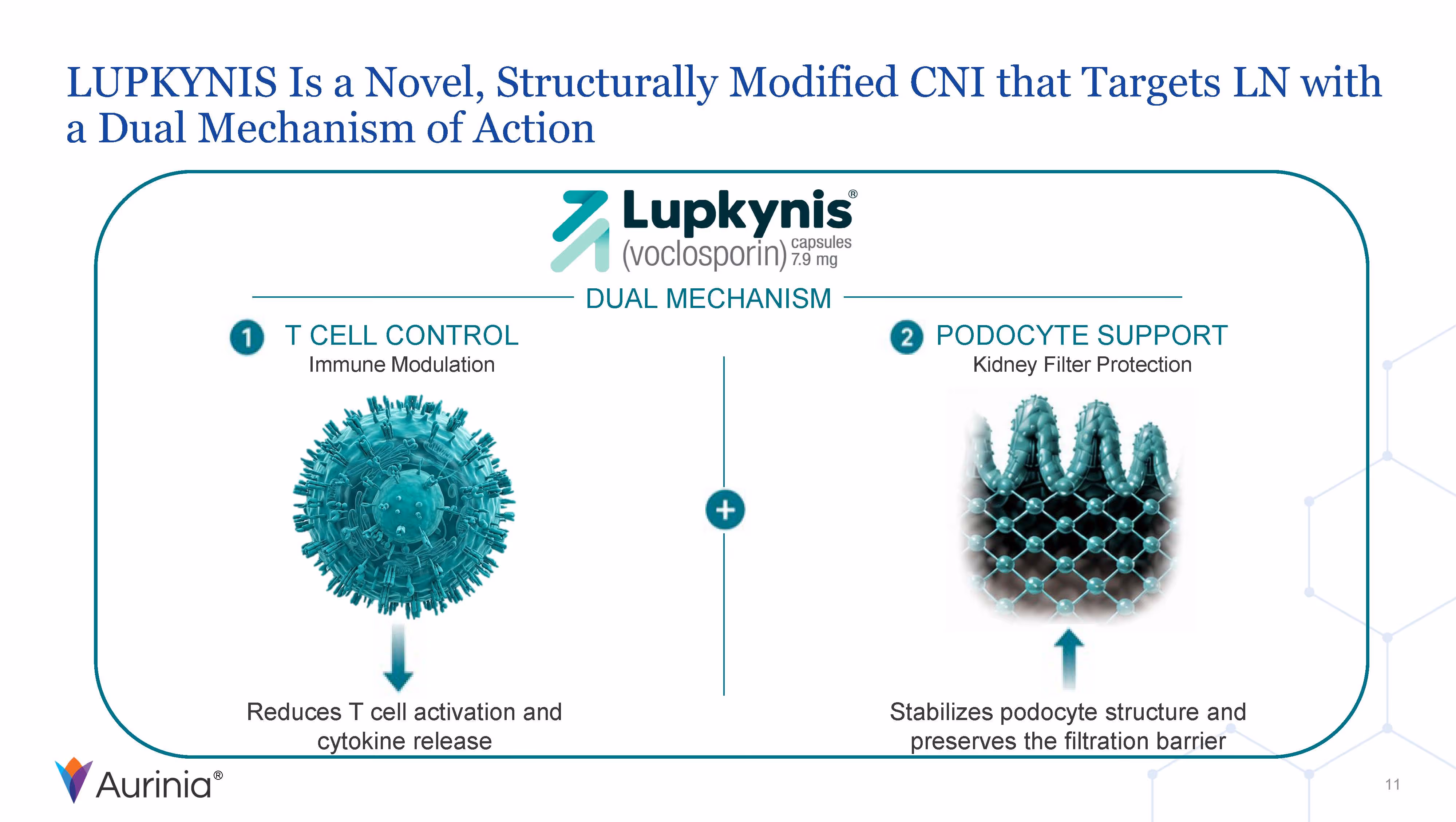 Diagram showing Lupkynis (voclosporin) capsules with dual mechanism: T cell control reducing activation and cytokine release, and podocyte support stabilizing structure and filtration barrier.