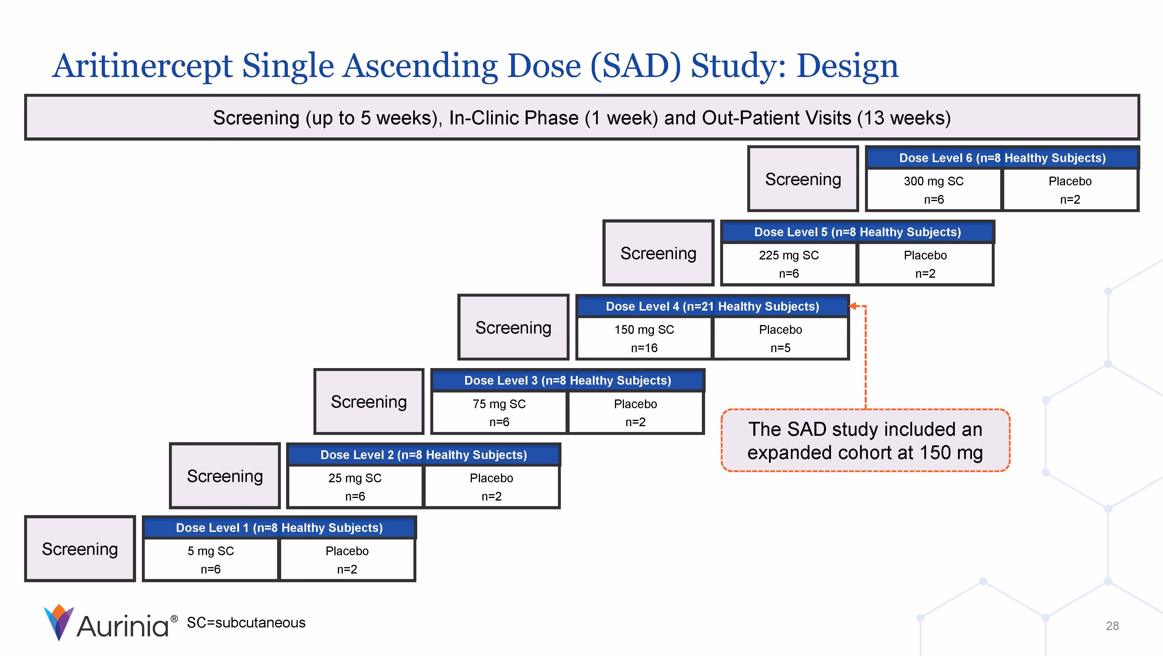 Flowchart showing the design of Aritinercept Single Ascending Dose study with screening phases followed by six dose levels of 5 mg to 300 mg subcutaneous doses, placebo groups, and an expanded cohort at 150 mg dose.