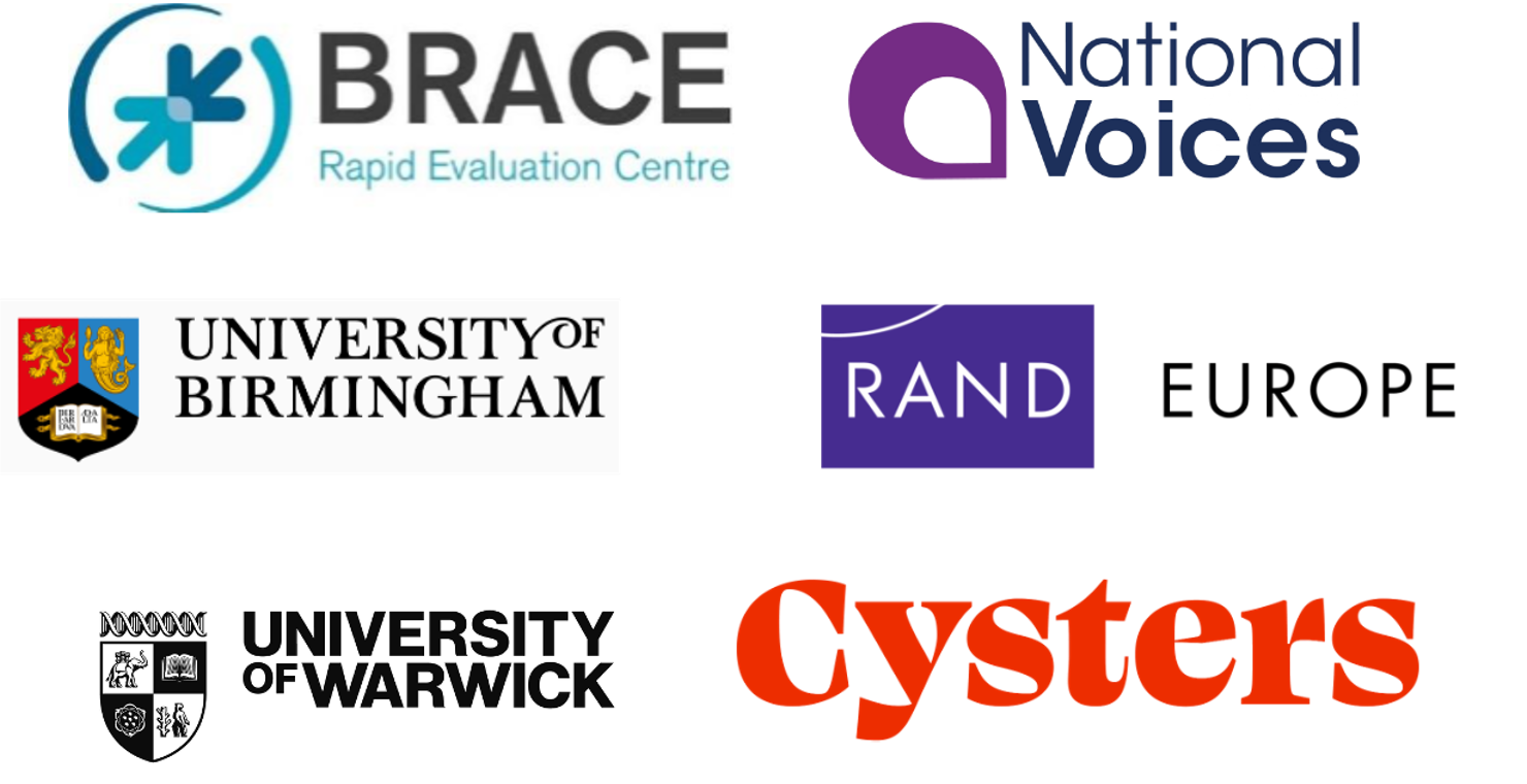 Logos for the BRACE PEADP team