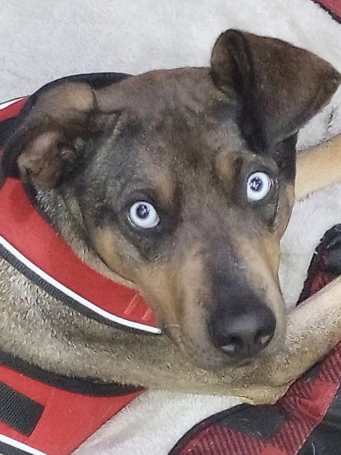Lucy