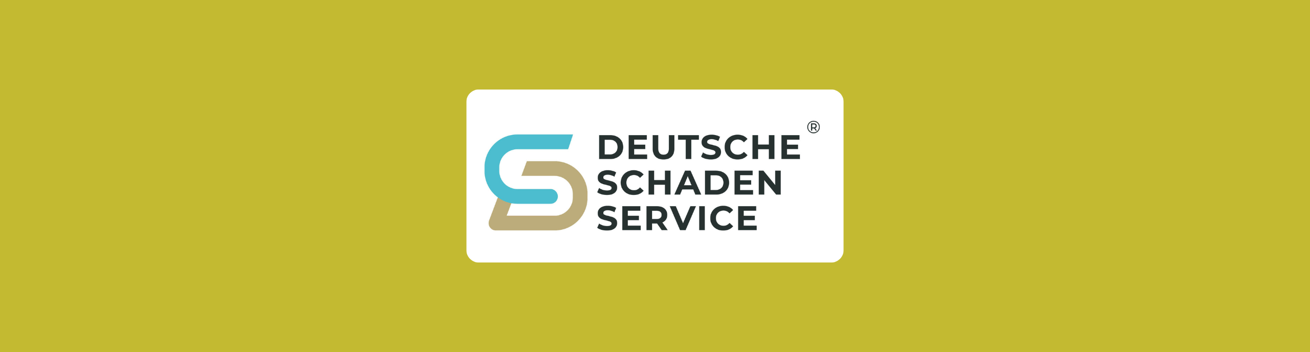 Header Logo Design DSS