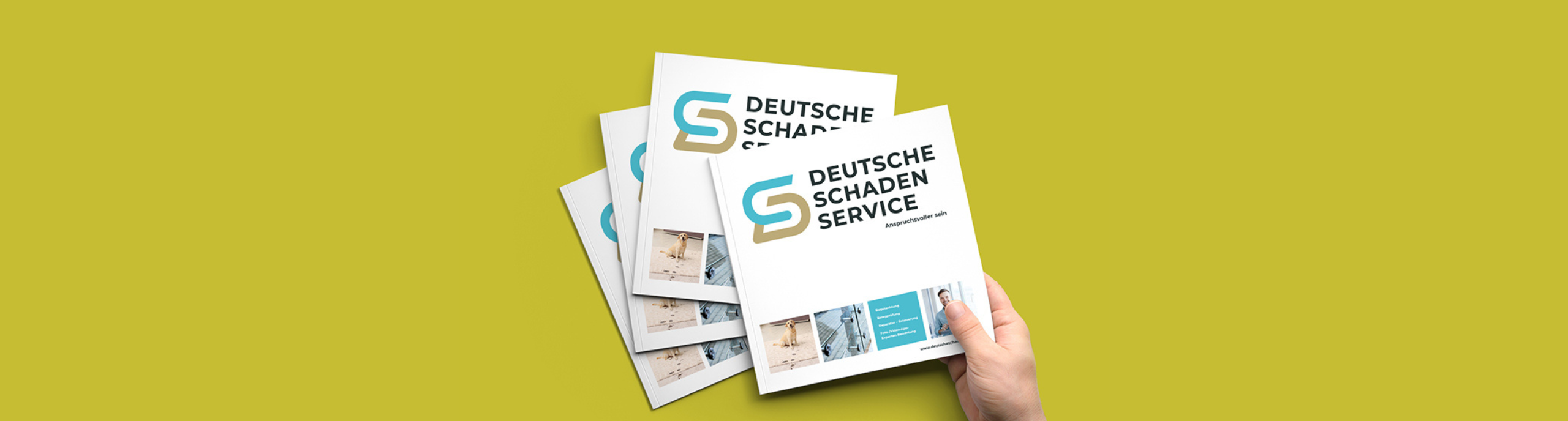 Header Broschüre DSS