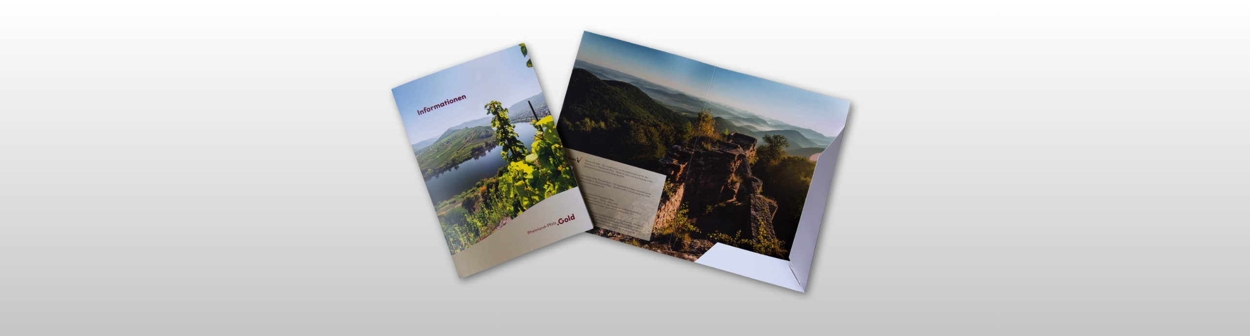 Beispiel Bild Präsentationsmappe RPT