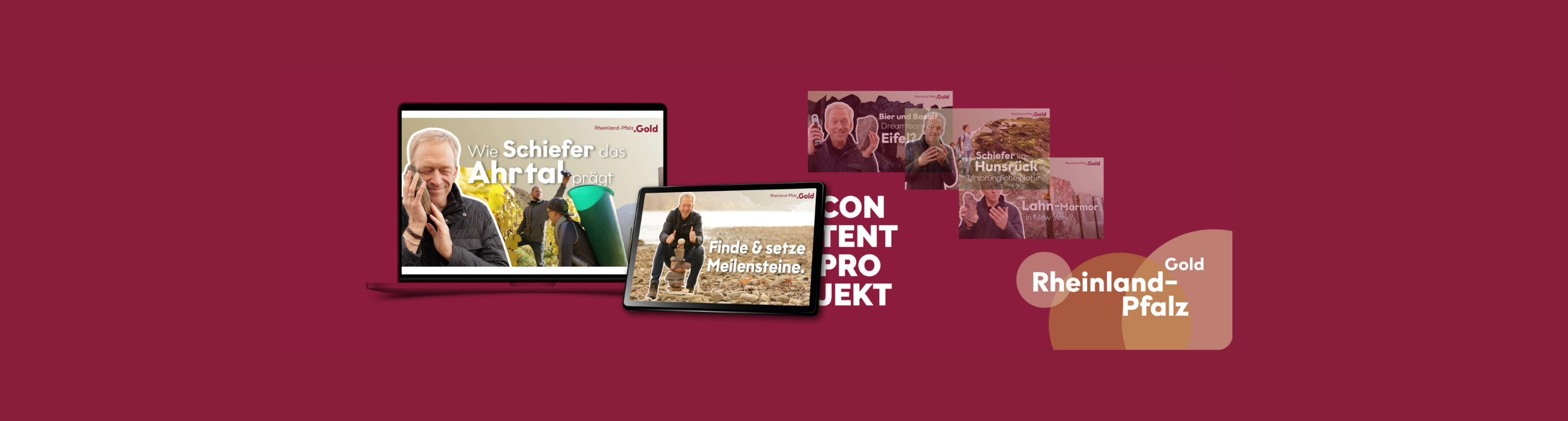 Header Meilnenstein Kampagne RPT