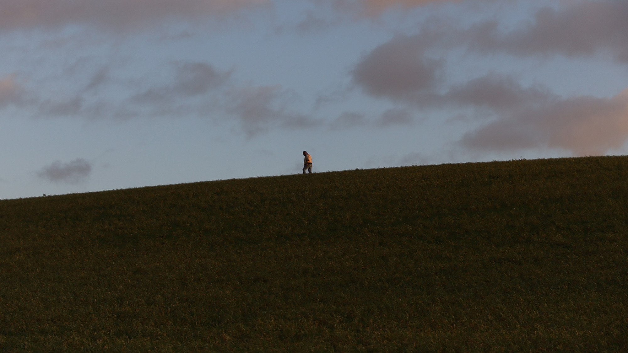 Garçon qui marche sur un colline d'herbe avec un coucher de soleil dans son dos. Projet Sunshine