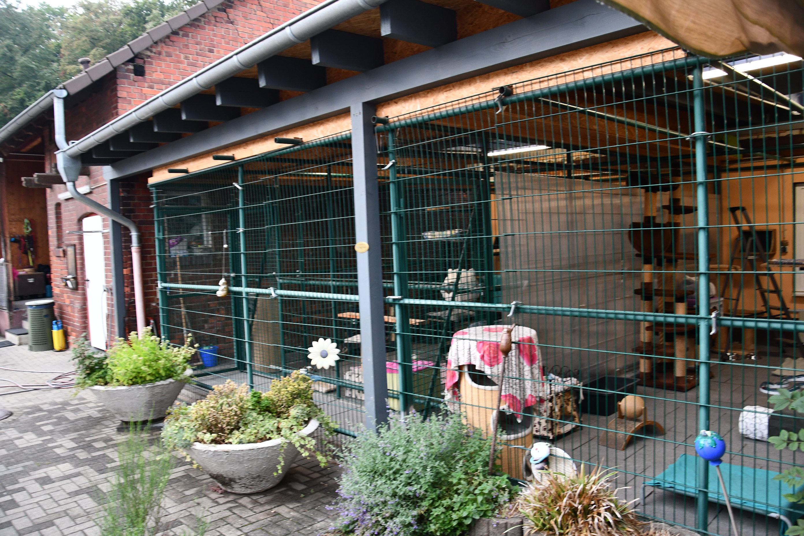 Außenansicht eines Gebäudes mit einem eingezäunten Bereich und mehreren Blumentöpfen mit Pflanzen davor.