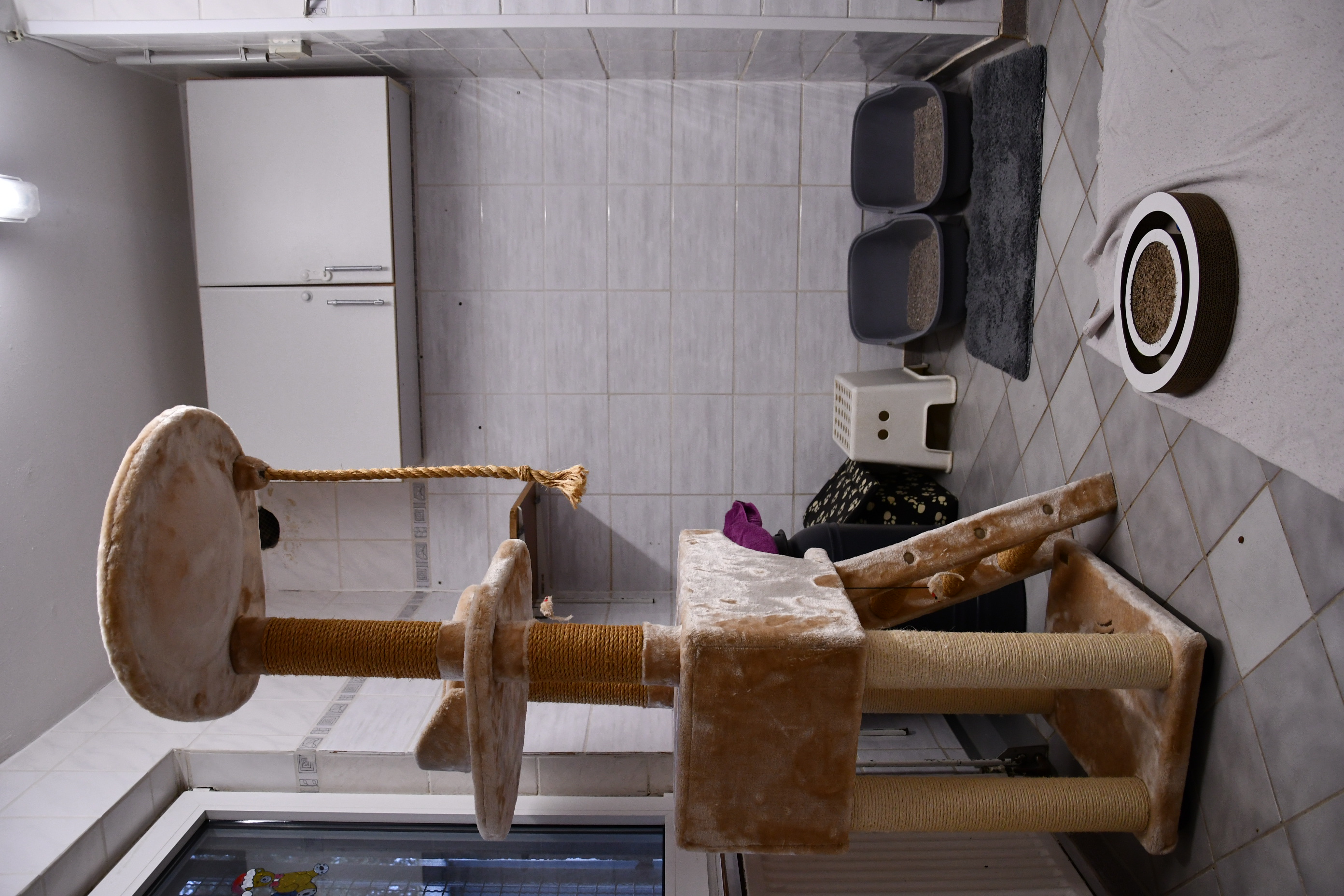 Innenraum mit einem großen beigen Kratzbaum, zwei Katzentoiletten auf einer grauen Matte, einem kleinen weißen Hocker und einem Katzen-Spielzeug auf einem weißen Tuch.