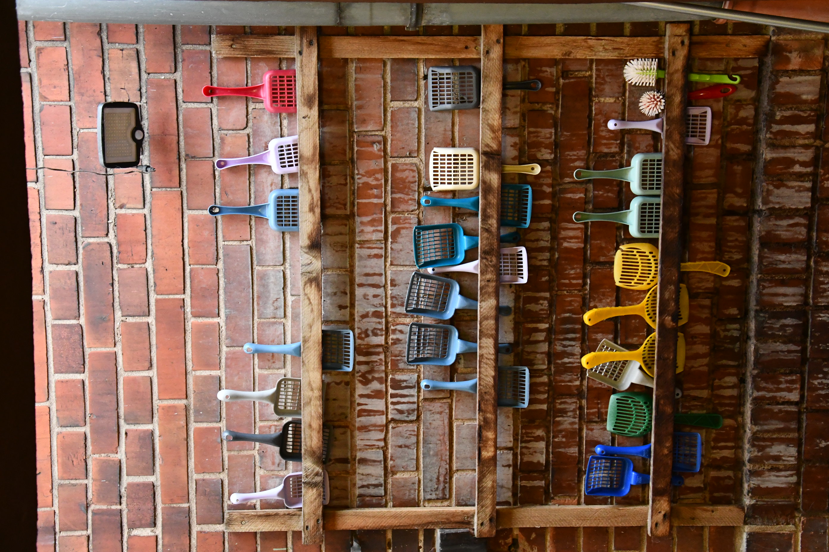 Verschiedene bunte Katzentoilettenschaufeln ordentlich auf einem dreistufigen Holzregal vor einer Backsteinwand.