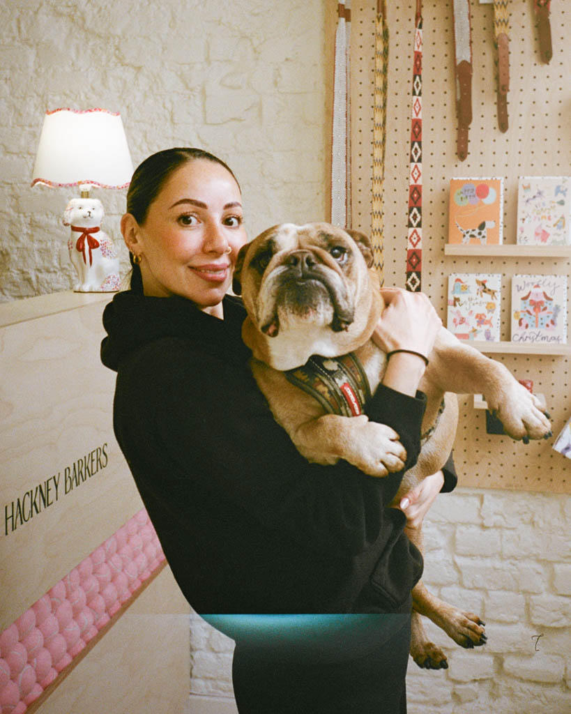 Jade grooming an English Bulldog at Hackney Barkers