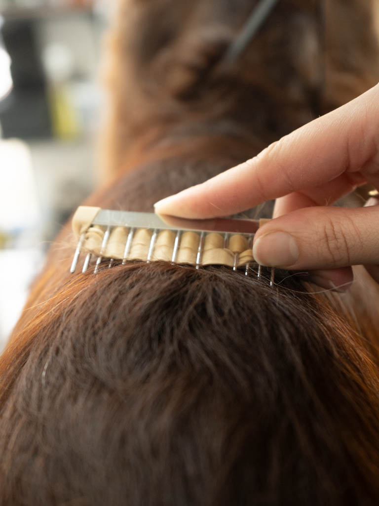 Spaniel coat being hand stripped at Hackney Barkers dog grooming salon in Hackney