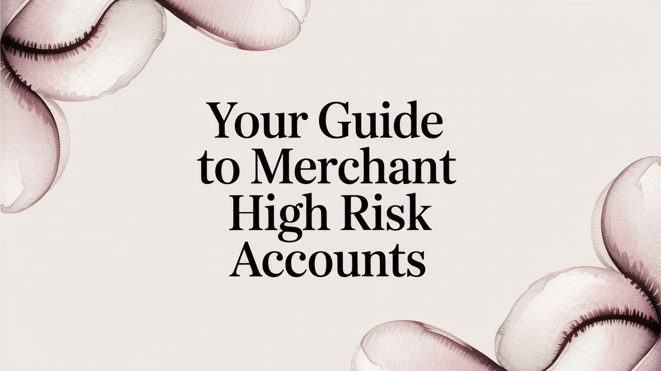 Your Guide to Merchant High Risk Accounts