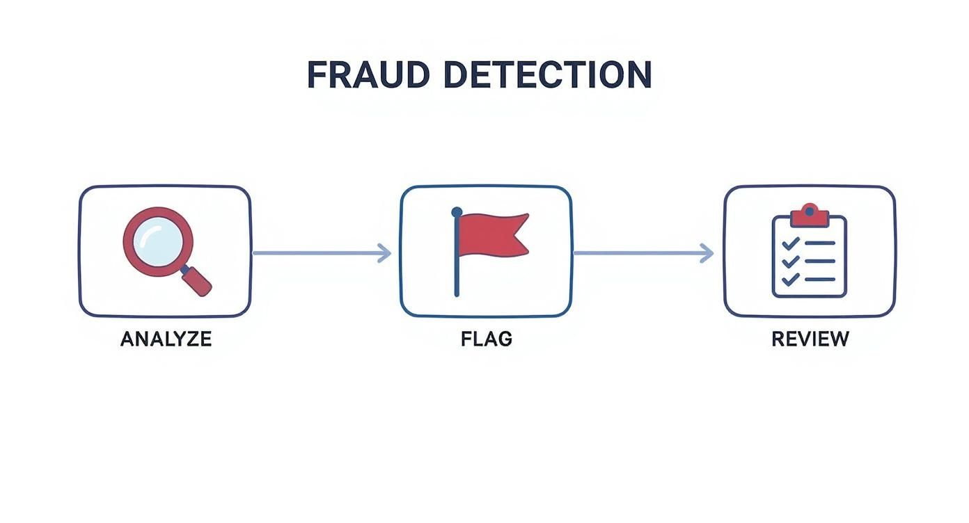 Infographic about paypal payment security