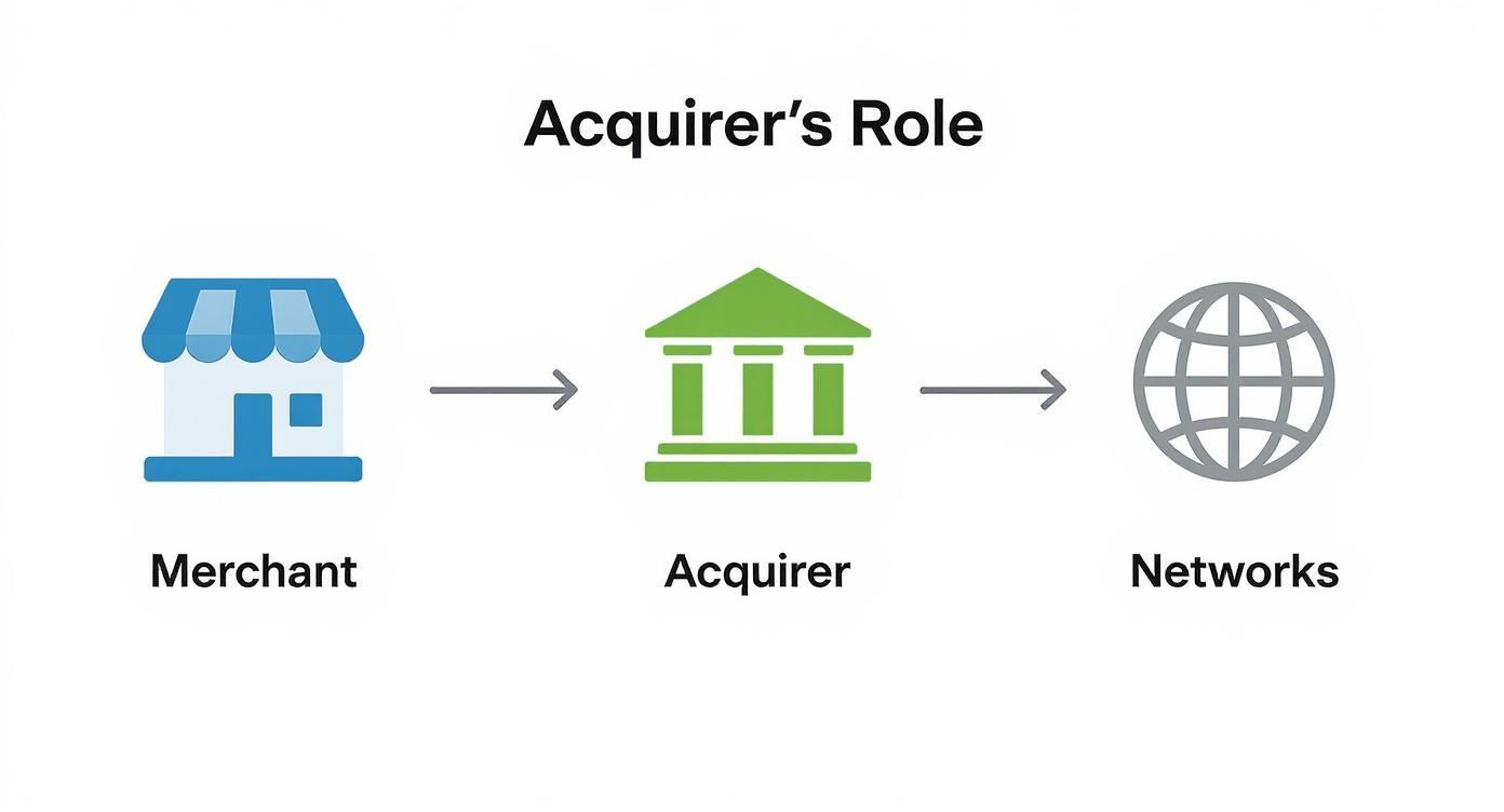 Flowchart illustrating the acquirer's role in connecting a merchant to payment networks.