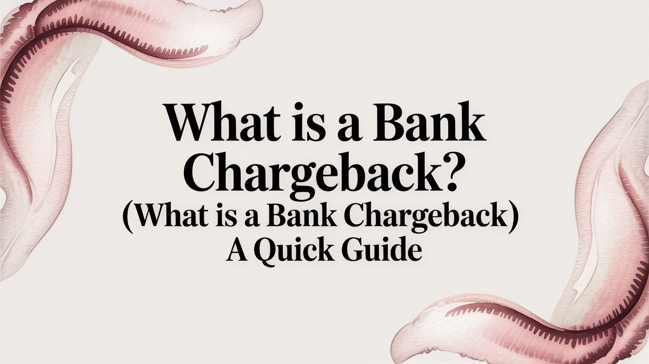 What is a Bank Chargeback? (what is a bank chargeback) A Quick Guide