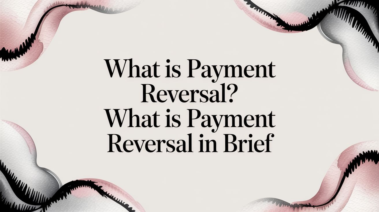 What is payment reversal? A clear guide for business owners