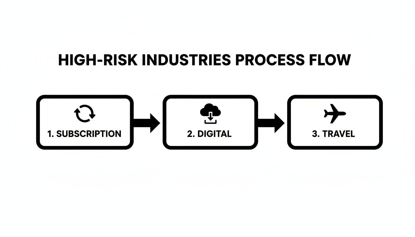 Process flow diagram for high-risk industries showing steps: subscription, digital, and travel.