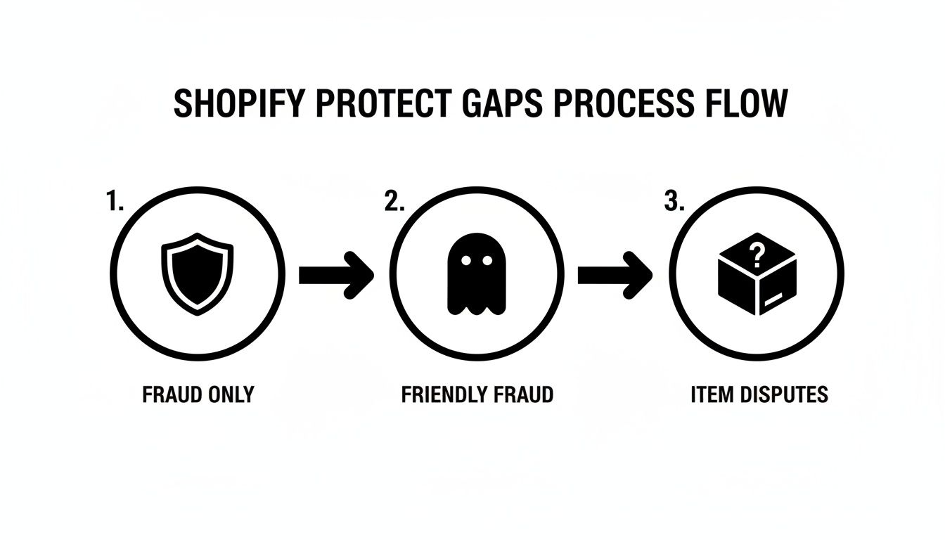 A Shopify Protect gaps process flow diagram illustrating fraud, friendly fraud, and item disputes.