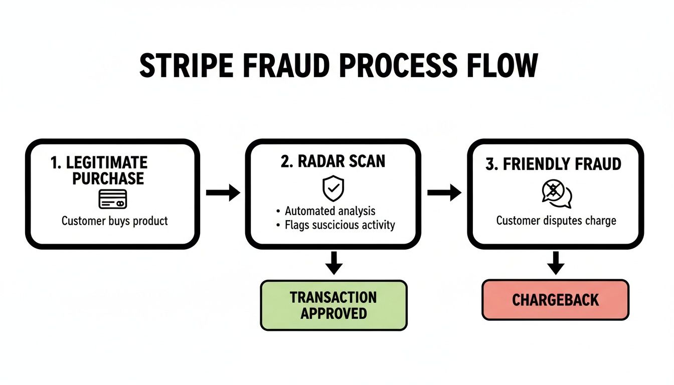 Stripe fraud process flow diagram, illustrating steps from purchase and radar scan to approval or chargeback.