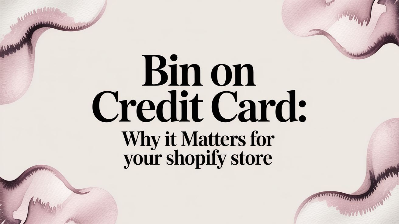 Bin on credit card: Why It Matters for Your Shopify Store