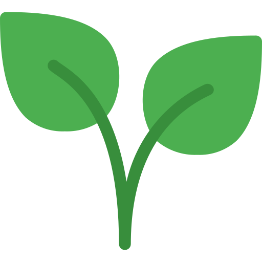 Illustration of a green plant sprout with two leaves.