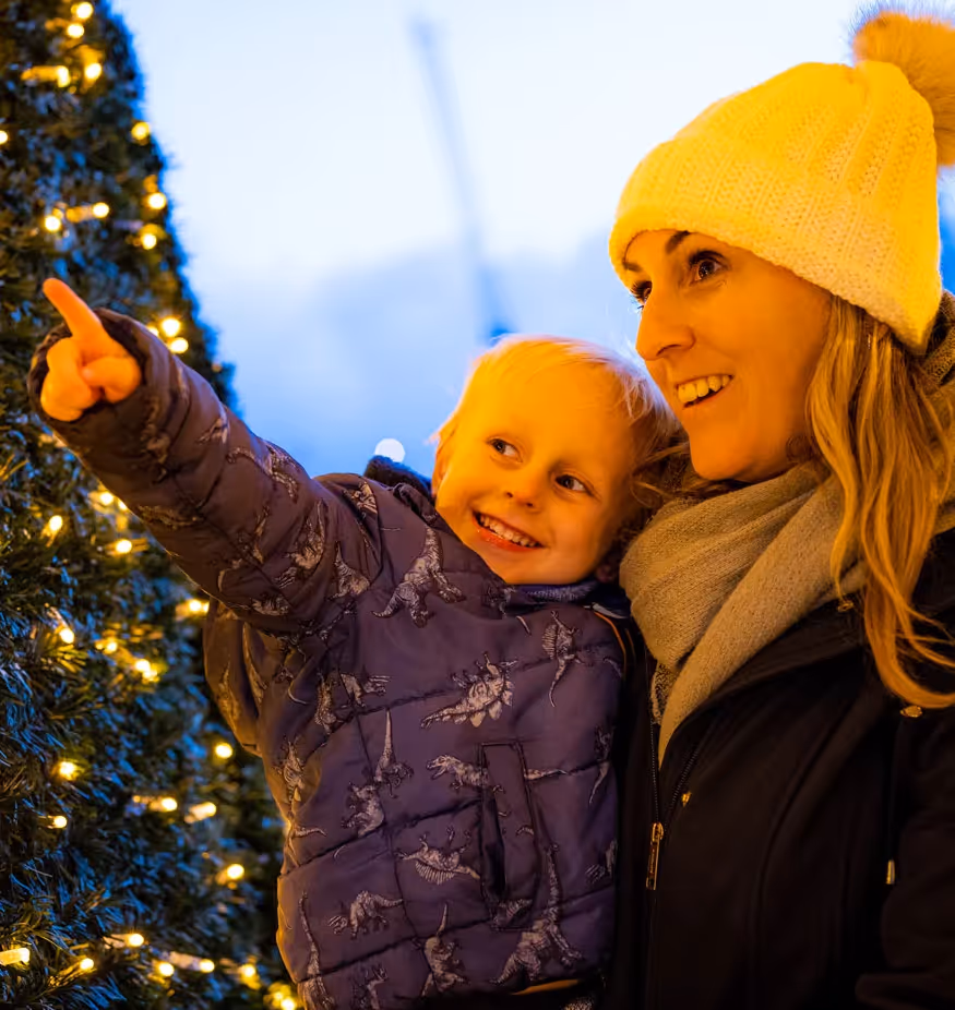 Christmas Window Display Competition
