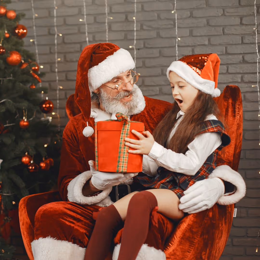 Santa Experience