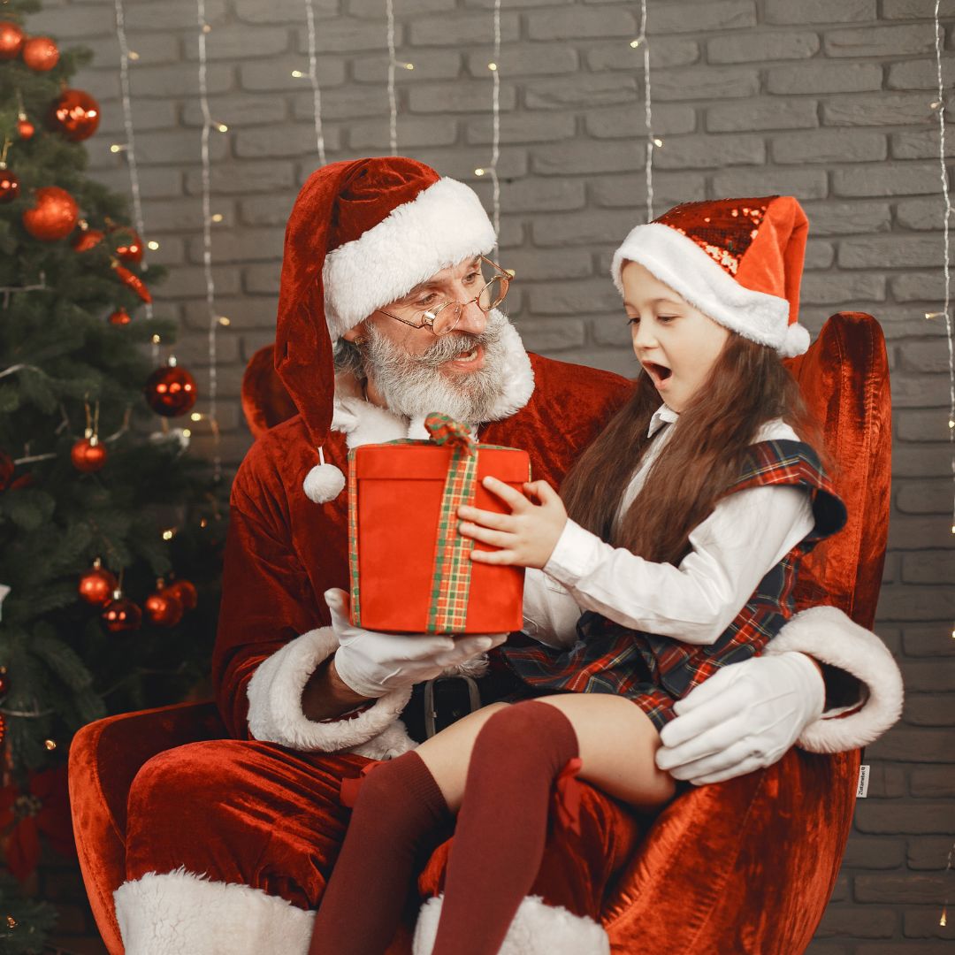 Santa Experience