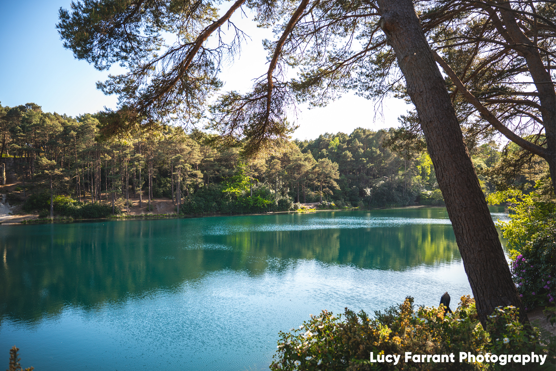 The Blue Pool Nature Reserve & Tearooms
