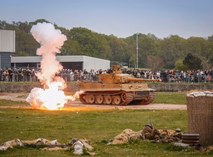 Tiger Day Spring