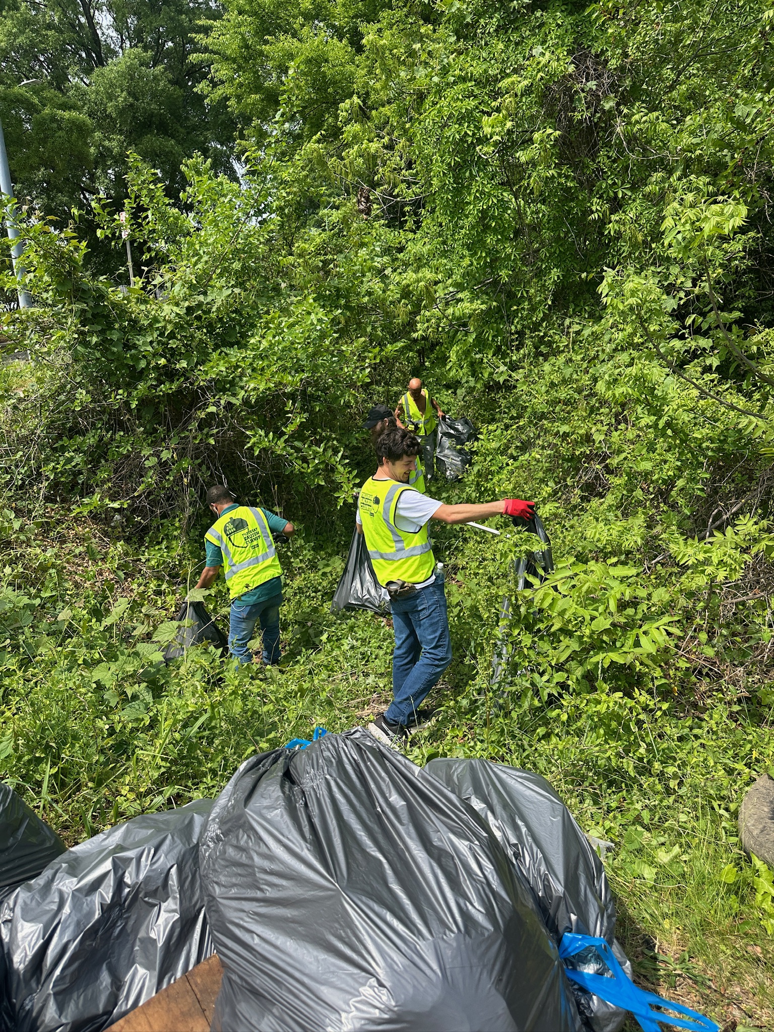 Volunteers wearing yellow safety vests collecting trash in a green, wooded area with large black garbage bags.