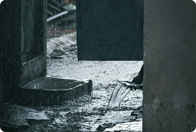 Water & Flood Remediation