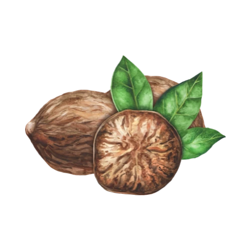 Nutmeg