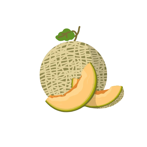 Melon
