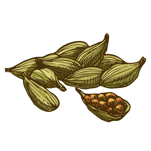 Cardamom