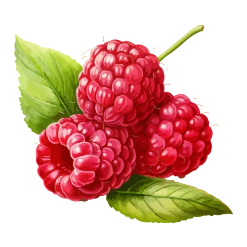 Raspberry