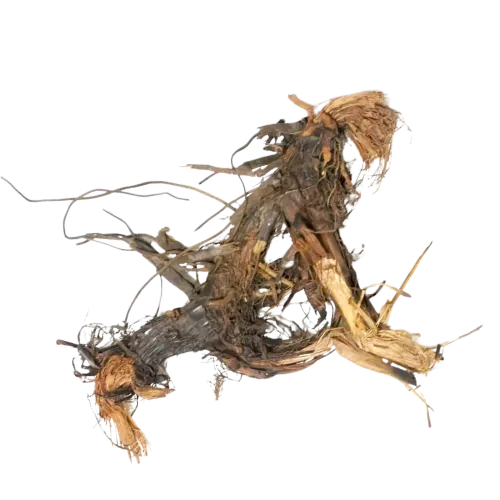 Nagarmotha/Cypriol Oil