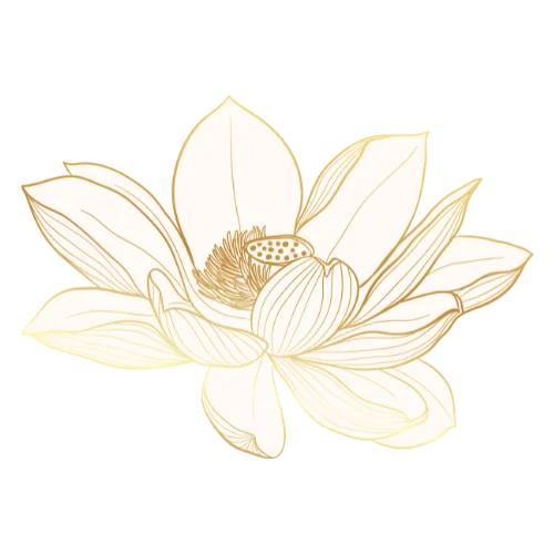 White Lotus