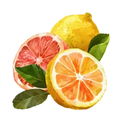 Citruses With Sugar