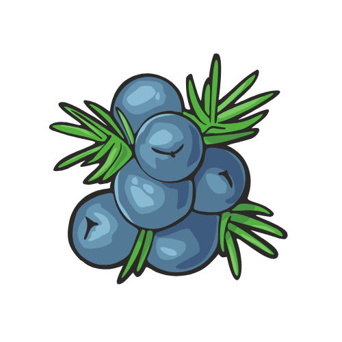 Juniper Berries