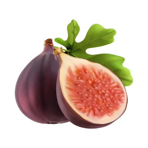 Fig