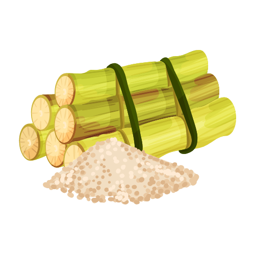 Sugar Cane