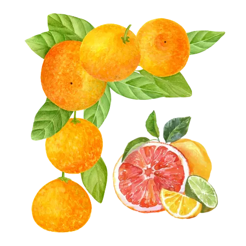 Citruses