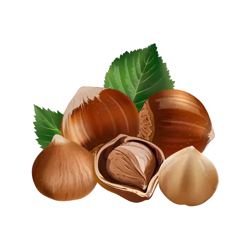Hazelnut