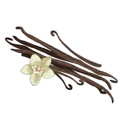 Vanilla Pod