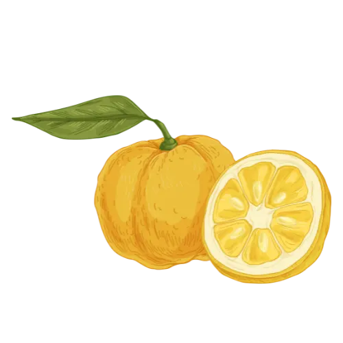 Yuzu