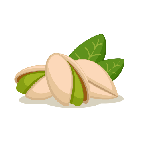 Pistachio