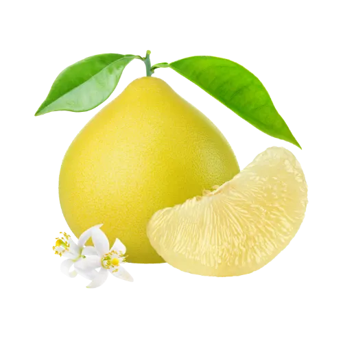 Pomelo
